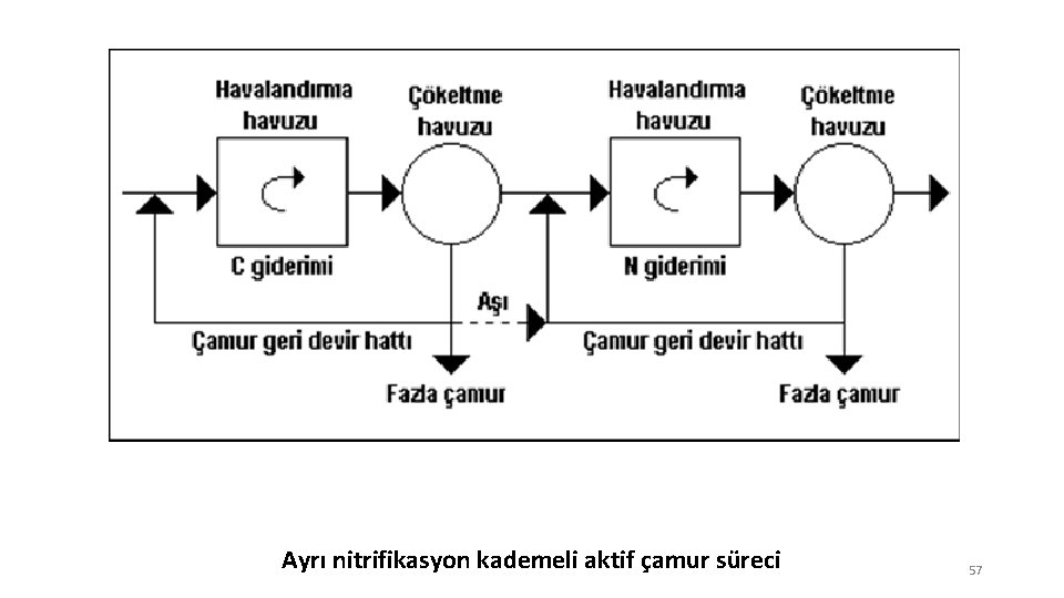 Ayrı nitrifikasyon kademeli aktif çamur süreci 57 