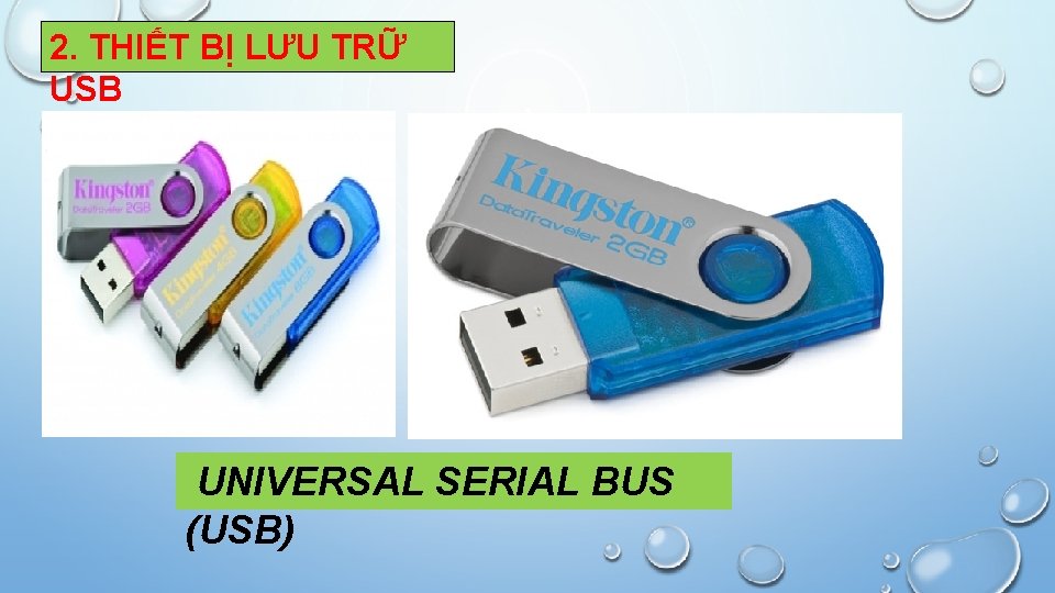 2. THIẾT BỊ LƯU TRỮ USB UNIVERSAL SERIAL BUS (USB) 