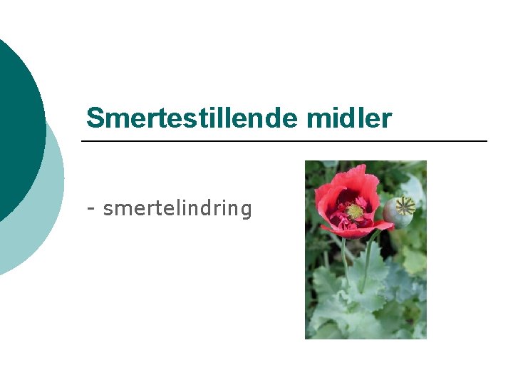 Smertestillende midler - smertelindring 