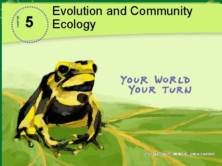 CHAPTER 5 Evolution and Community Ecology 