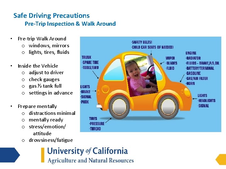 Safe Driving Precautions Pre-Trip Inspection & Walk Around • Pre-trip Walk Around o windows,