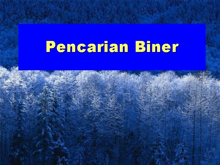 Pencarian Biner 