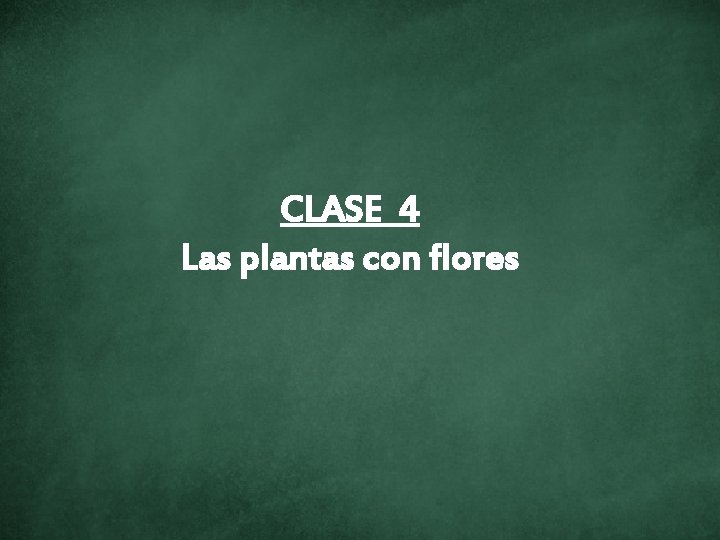 CLASE 4 Las plantas con flores 