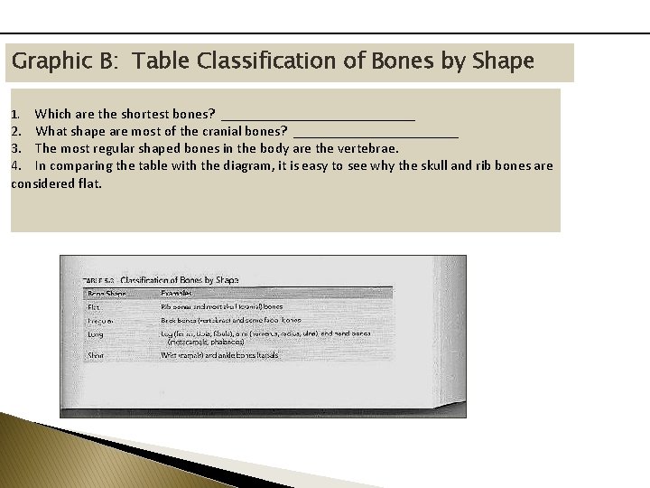 Graphic B: Table Classification of Bones by Shape Which are the shortest bones? ______________