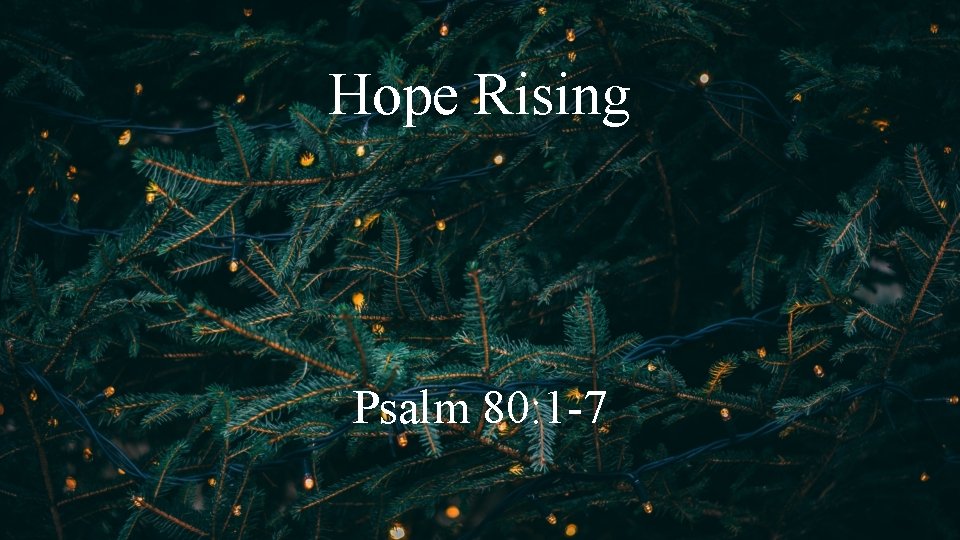 Hope Rising Psalm 80: 1 -7 