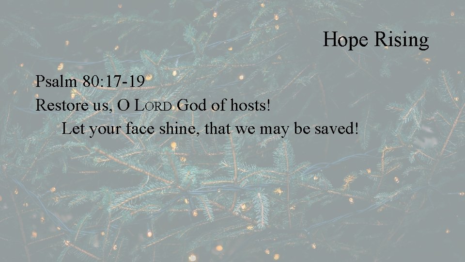 Hope Rising Psalm 80: 17 -19 Restore us, O LORD God of hosts! Let