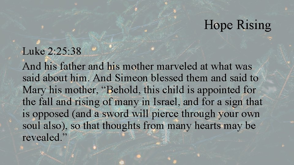 Hope Rising Luke 2: 25: 38 And his father and his mother marveled at