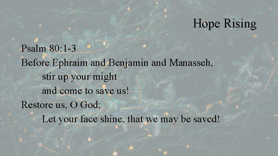 Hope Rising Psalm 80: 1 -3 Before Ephraim and Benjamin and Manasseh, stir up