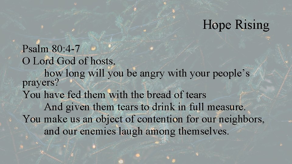 Hope Rising Psalm 80: 4 -7 O Lord God of hosts, how long will