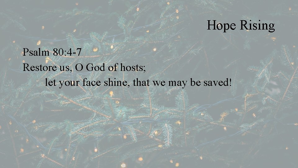 Hope Rising Psalm 80: 4 -7 Restore us, O God of hosts; let your