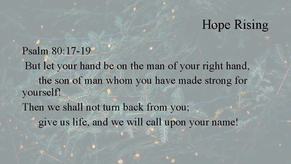 Hope Rising Psalm 80: 17 -19 But let your hand be on the man