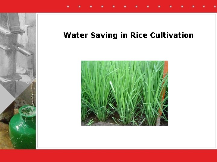 Water Saving in Rice Cultivation 