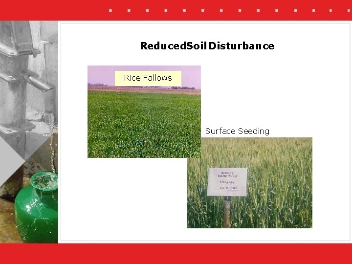 Reduced. Soil Disturbance Rice Fallows Surface Seeding 