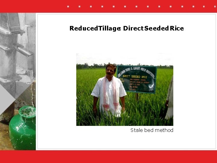 Reduced. Tillage: Direct Seeded Rice Stale bed method 