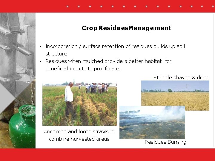 Crop Residues. Management § Incorporation / surface retention of residues builds up soil structure