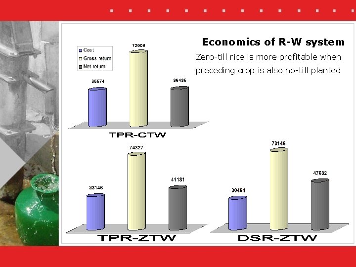 Economics of R-W system Zero-till rice is more profitable when preceding crop is also
