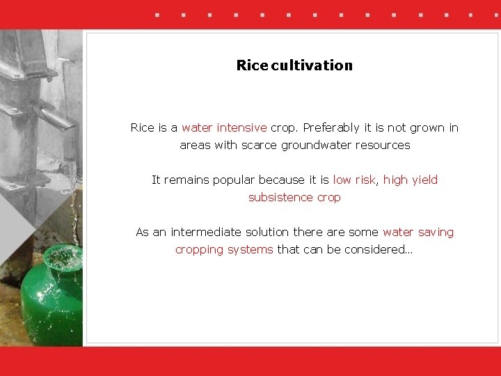 Rice cultivation Rice is a water intensive crop. Preferably it is not grown in