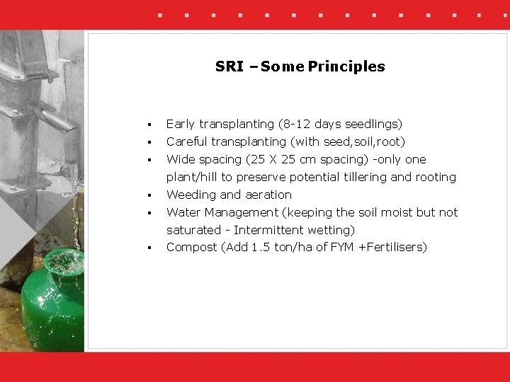 SRI – Some Principles § Early transplanting (8 -12 days seedlings) § Careful transplanting