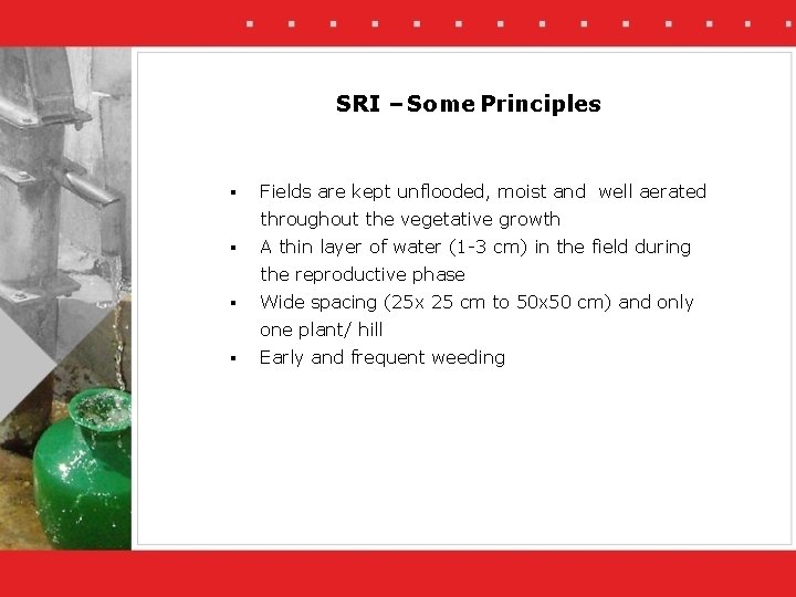 SRI – Some Principles § Fields are kept unflooded, moist and well aerated throughout