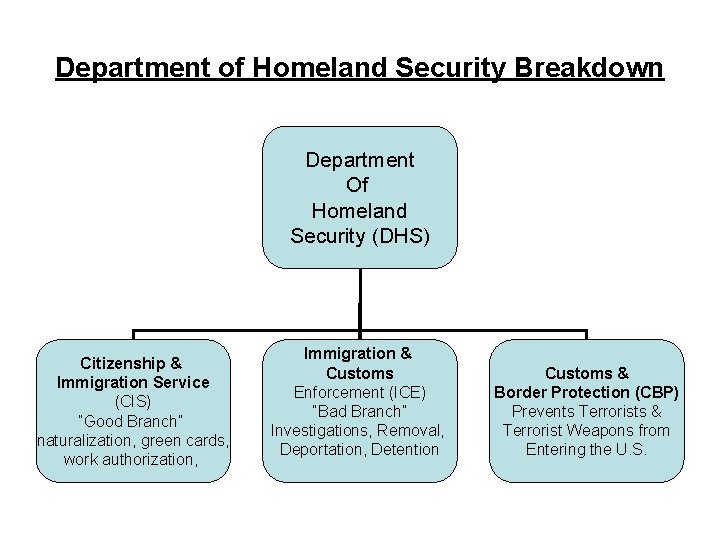 Department of Homeland Security Breakdown Department Of Homeland Security (DHS) Citizenship & Immigration Service