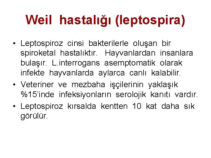 Weil hastalığı (leptospira) • Leptospiroz cinsi bakterilerle oluşan bir spiroketal hastalıktır. Hayvanlardan insanlara bulaşır.