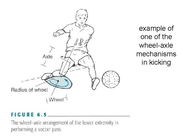 example of one of the wheel-axle mechanisms in kicking 