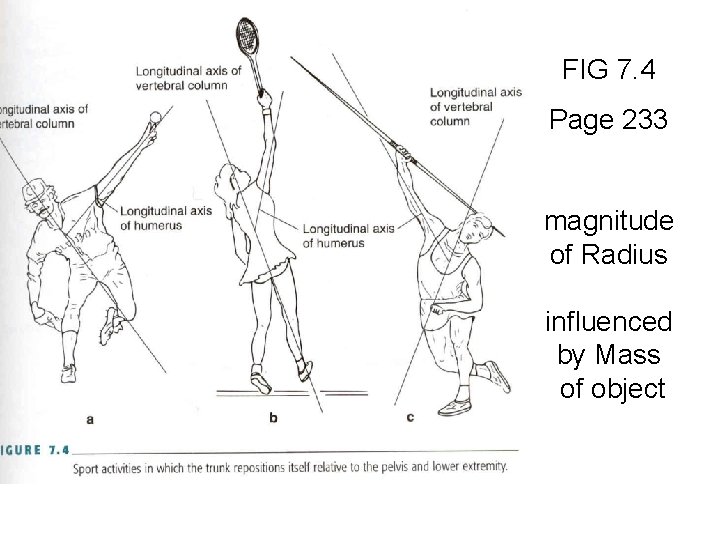 FIG 7. 4 Page 233 magnitude of Radius influenced by Mass of object 