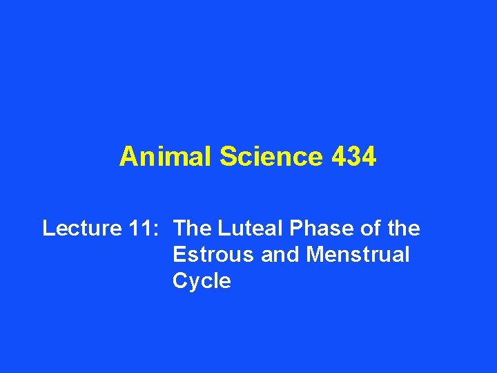 Animal Science 434 Lecture 11 The Luteal Phase