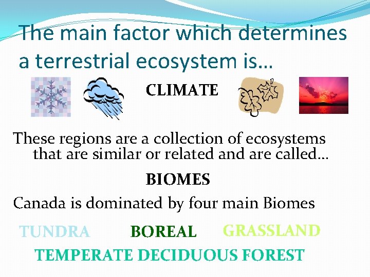 The main factor which determines a terrestrial ecosystem is… CLIMATE These regions are a