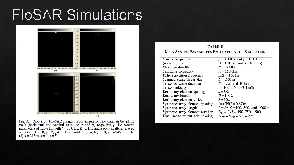 Flo. SAR Simulations 