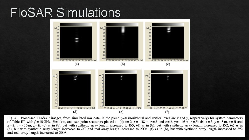 Flo. SAR Simulations 