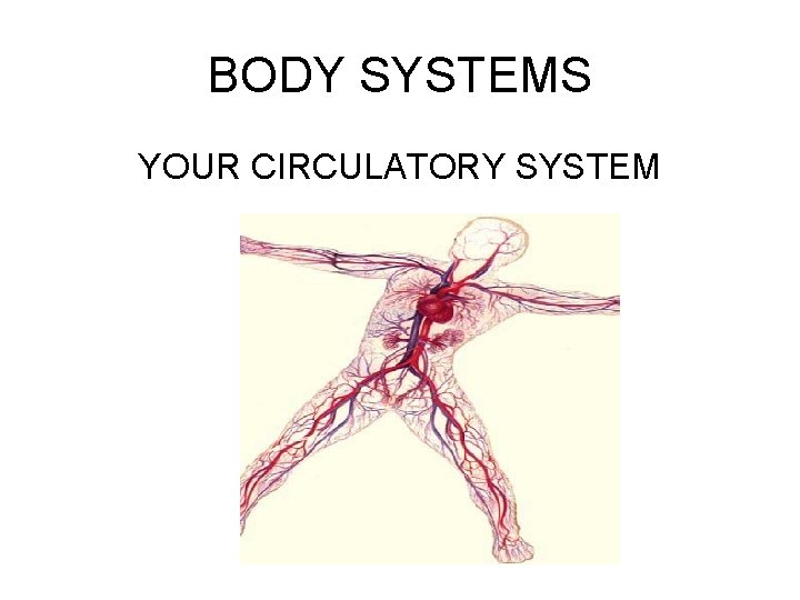 BODY SYSTEMS YOUR CIRCULATORY SYSTEM 