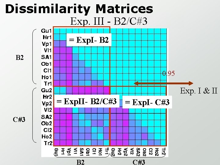 Dissimilarity Matrices Exp. III - B 2/C#3 = Exp. I- B 2 0. 95