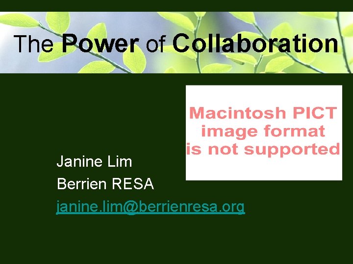 The Power of Collaboration Janine Lim Berrien RESA janine. lim@berrienresa. org 