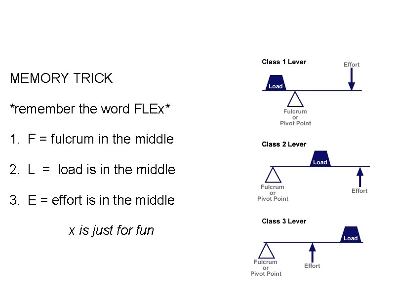 MEMORY TRICK *remember the word FLEx* 1. F = fulcrum in the middle 2.