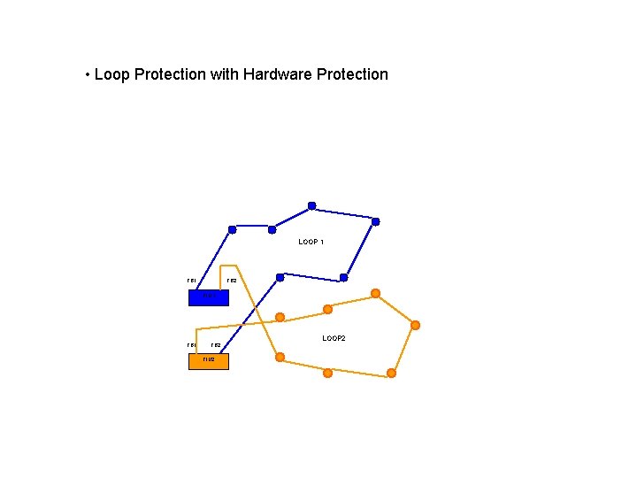  • Loop Protection with Hardware Protection LOOP 1 FB 2 FIU 1 LOOP