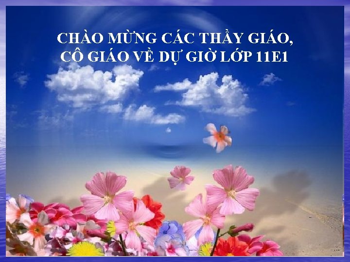 CHÀO MỪNG CÁC THẦY GIÁO, CÔ GIÁO VỀ DỰ GIỜ LỚP 11 E 1