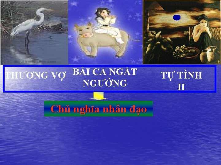 THƯƠNG VỢ BÀI CA NGẤT NGƯỞNG Chủ nghĩa nhân đạo TỰ TÌNH II 