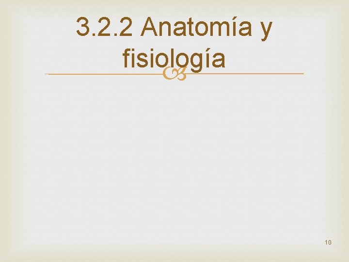 3. 2. 2 Anatomía y fisiología 10 