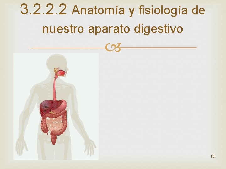 3. 2. 2. 2 Anatomía y fisiología de nuestro aparato digestivo 15 