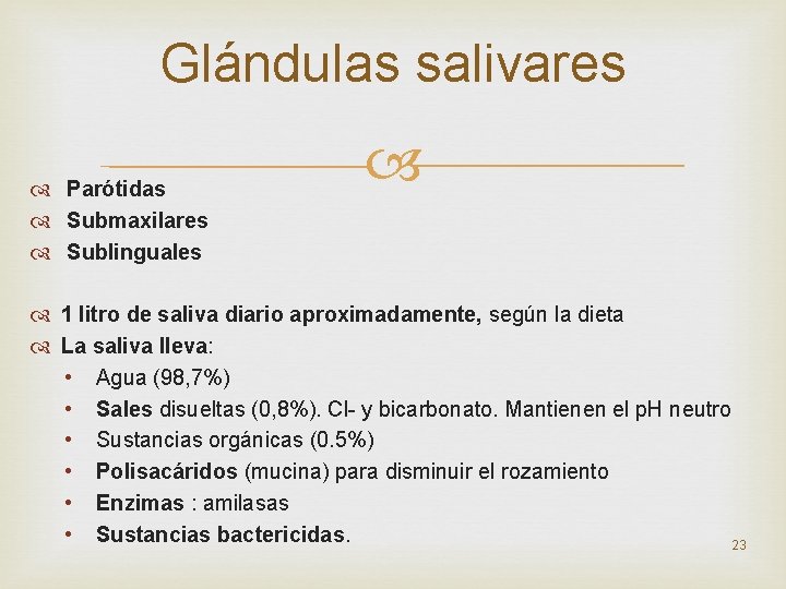 Glándulas salivares Parótidas Submaxilares Sublinguales 1 litro de saliva diario aproximadamente, según la dieta