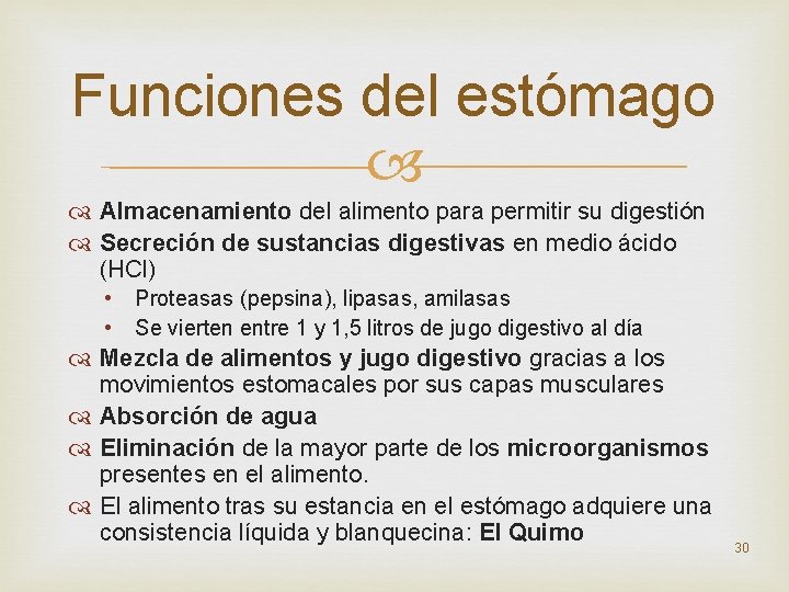 Funciones del estómago Almacenamiento del alimento para permitir su digestión Secreción de sustancias digestivas