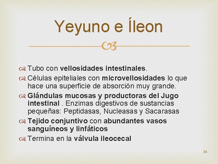 Yeyuno e Íleon Tubo con vellosidades intestinales. Células epiteliales con microvellosidades lo que hace