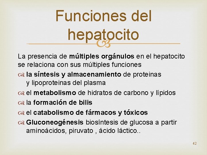 Funciones del hepatocito La presencia de múltiples orgánulos en el hepatocito se relaciona con