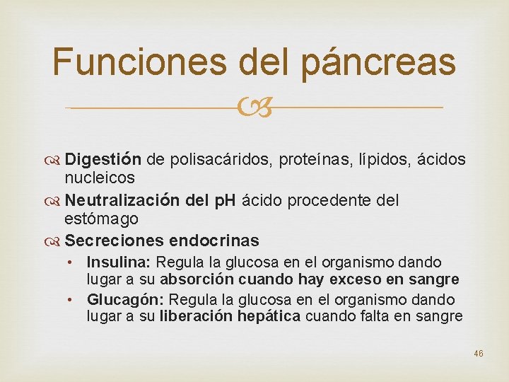 Funciones del páncreas Digestión de polisacáridos, proteínas, lípidos, ácidos nucleicos Neutralización del p. H