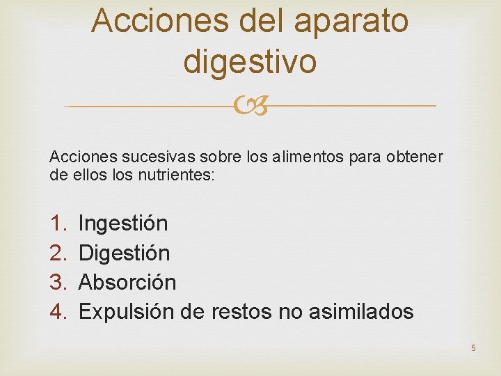 Acciones del aparato digestivo Acciones sucesivas sobre los alimentos para obtener de ellos nutrientes: