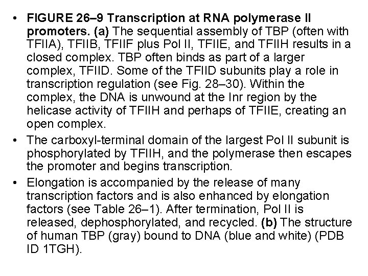  • FIGURE 26– 9 Transcription at RNA polymerase II promoters. (a) The sequential