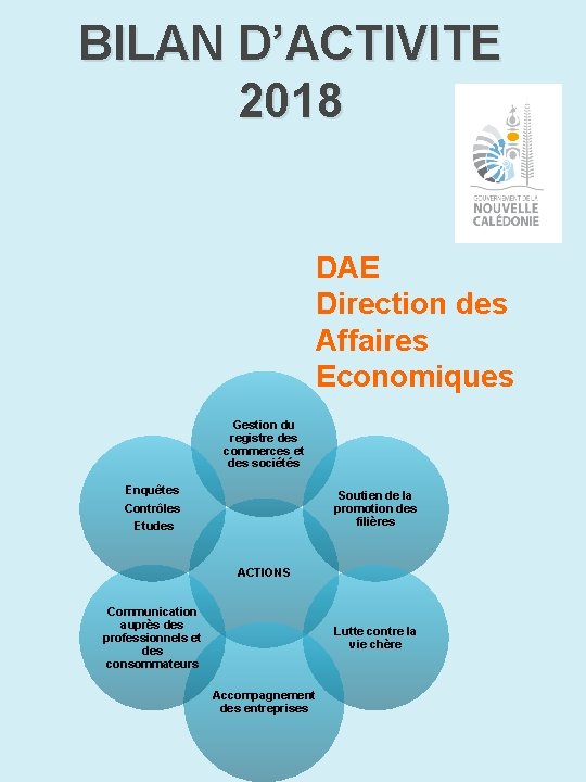 BILAN D’ACTIVITE 2018 DAE Direction des Affaires Economiques Gestion du registre des commerces et