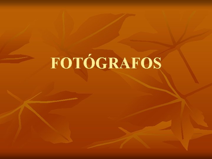 FOTÓGRAFOS 