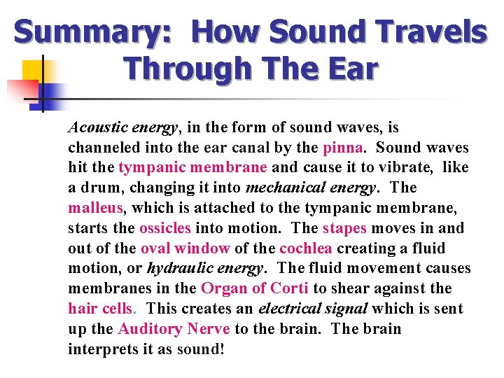 Summary: How Sound Travels Through The Ear Acoustic energy, in the form of sound Summary: How Sound Travels Through The Ear Acoustic energy, in the form of sound